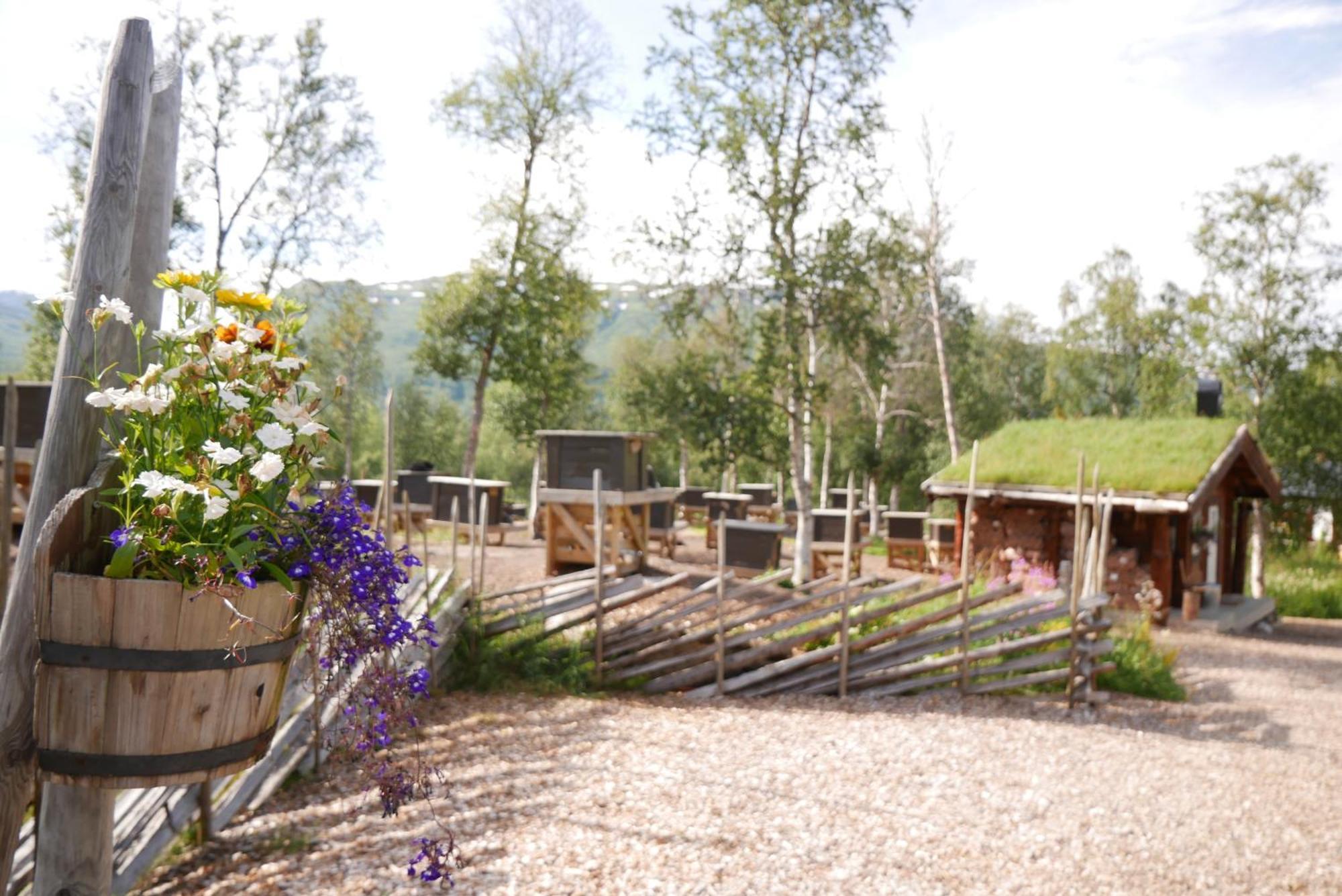 Bardu Huskylodge Εξωτερικό φωτογραφία