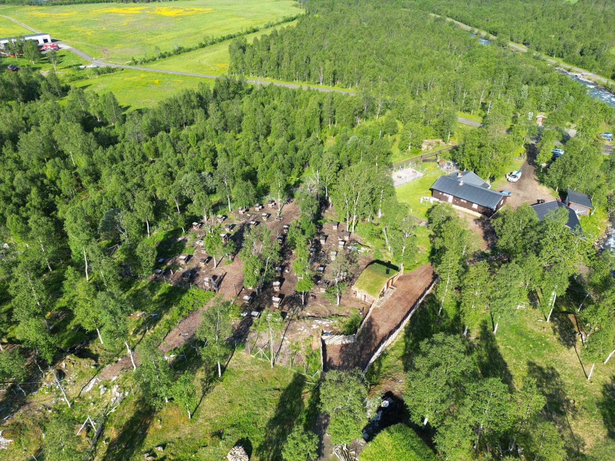 Bardu Huskylodge Εξωτερικό φωτογραφία