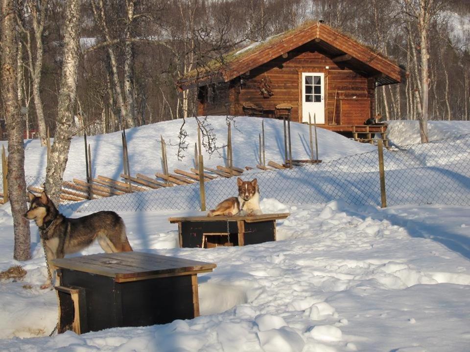 Bardu Huskylodge Εξωτερικό φωτογραφία