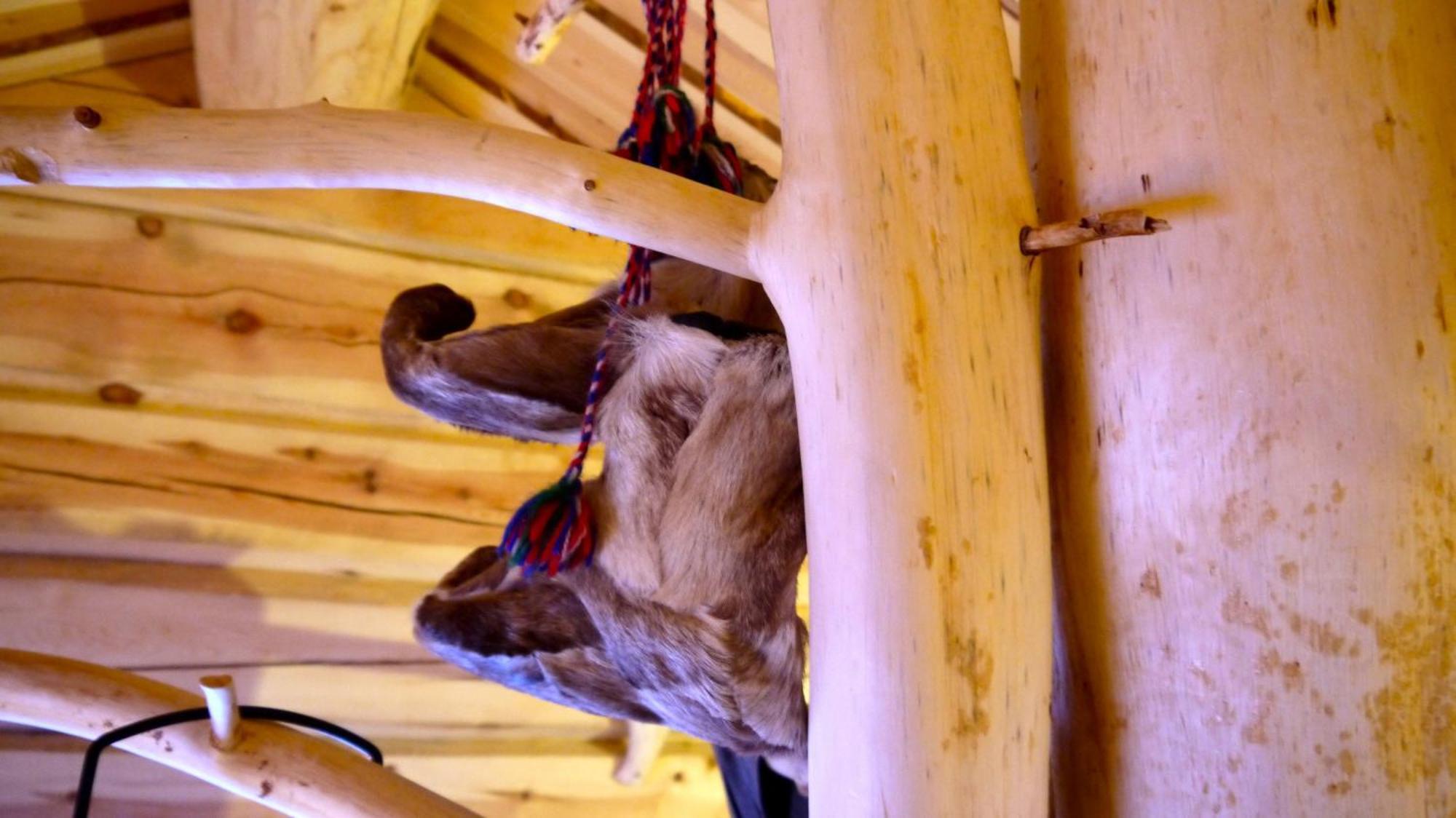 Bardu Huskylodge Εξωτερικό φωτογραφία