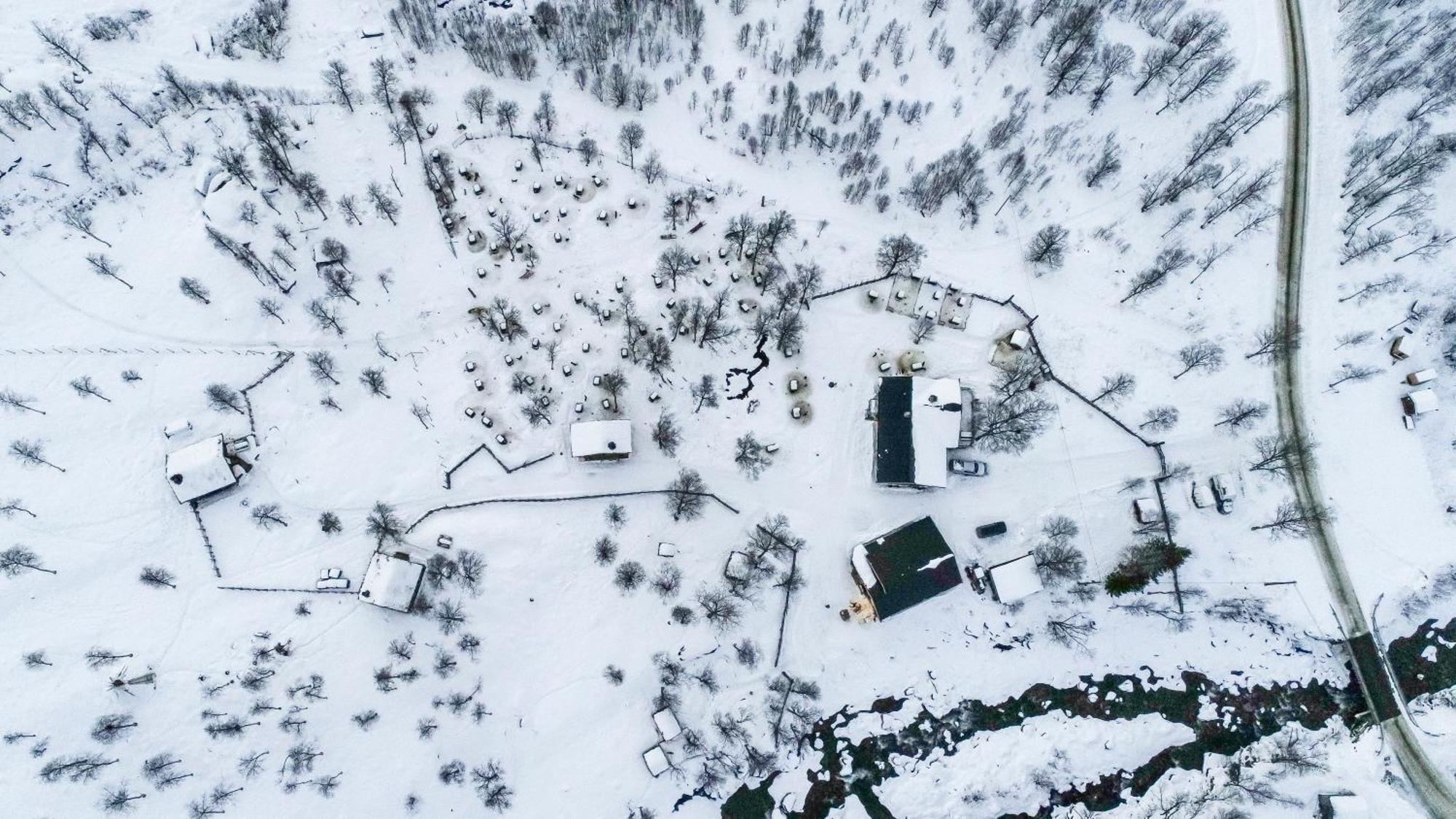 Bardu Huskylodge Εξωτερικό φωτογραφία